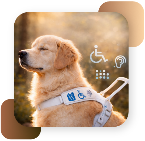 Hund mit geschlossenen Augen