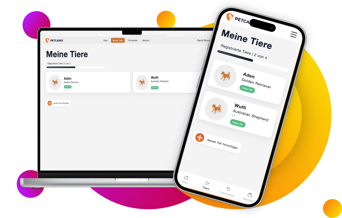 Petcario-Web Mobil und Desktop Ansicht