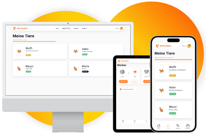 Petcario Plattform auf Smartphone im Startseiten-Header