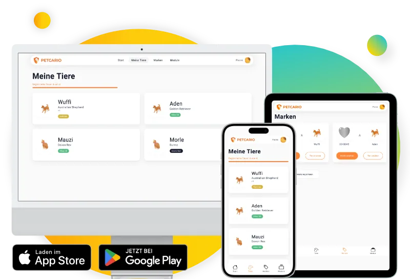Petcario Plattform auf Smartphone im Startseiten-Header