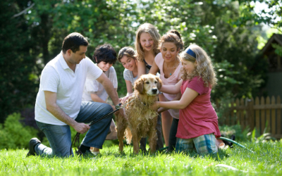 families