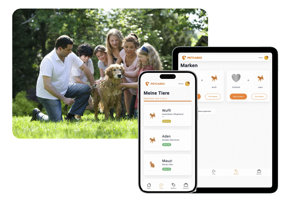 A family organizes their pets together with Petcario