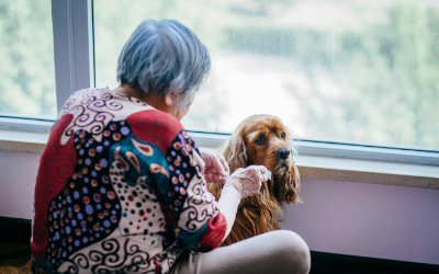 Seniors with pets